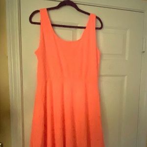 Mossimo Supply Co Textured Skater Dress